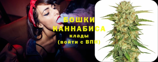 твердый Надым