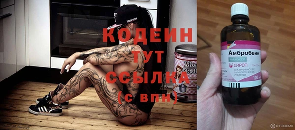 твердый Надым