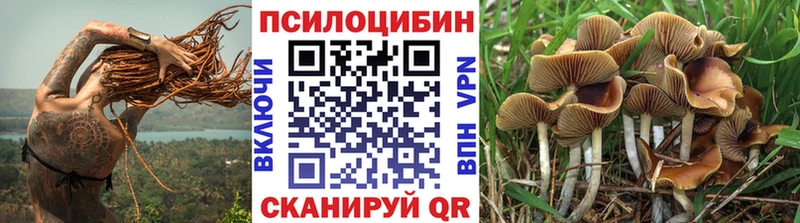 где купить наркоту  Нижняя Салда  Псилоцибиновые грибы мухоморы 
