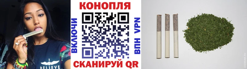 Конопля OG Kush  где купить   Нижняя Салда 